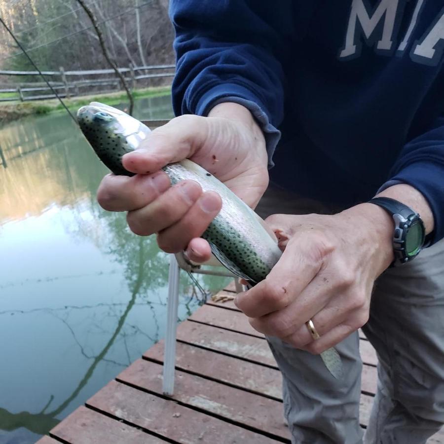 The Fishing Hole Cabin - Sage Vacations ガトリンバーグ エクステリア 写真