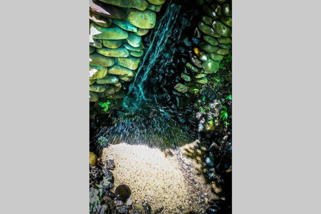 The Fishing Hole Cabin - Sage Vacations ガトリンバーグ エクステリア 写真
