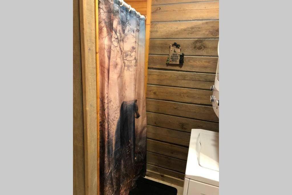 The Fishing Hole Cabin - Sage Vacations ガトリンバーグ エクステリア 写真
